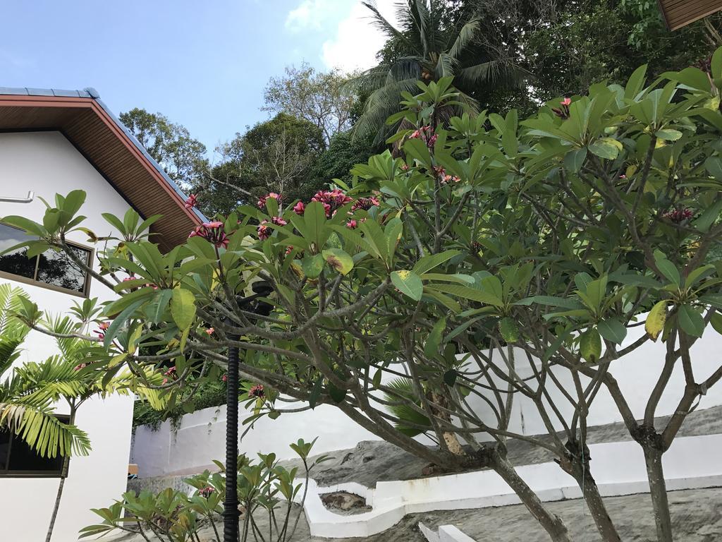 Rabbit Mansion2 Διαμέρισμα Patong Εξωτερικό φωτογραφία